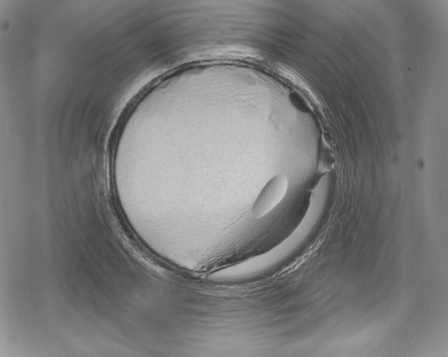 X0000078831079200612111513