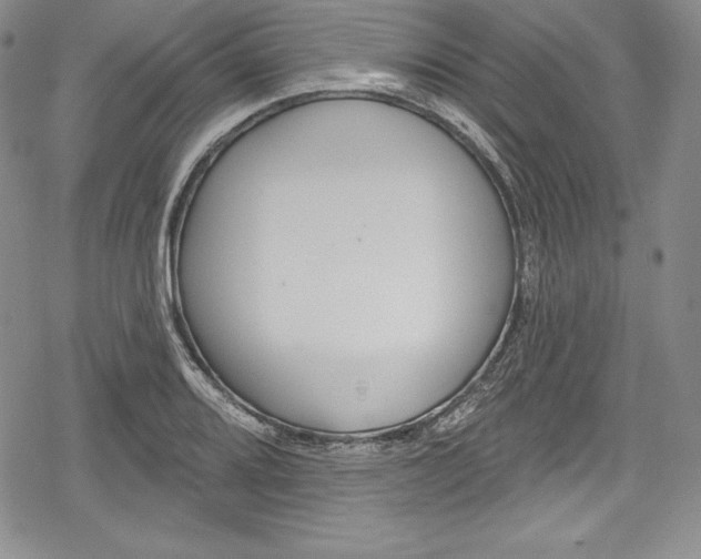 X0000078831080200612111513