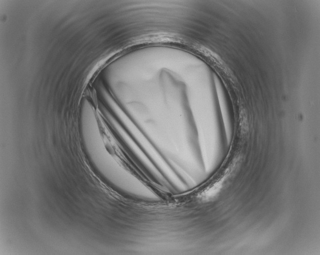 X0000078831081200612111513