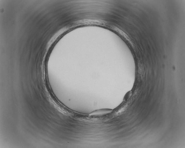 X0000078831082200612111513