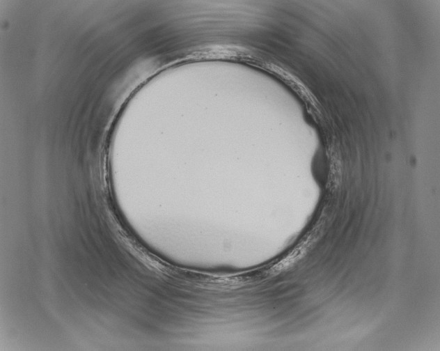 X0000078831083200612111513