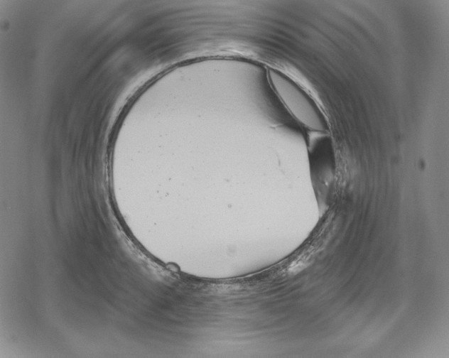 X0000078831088200612111513