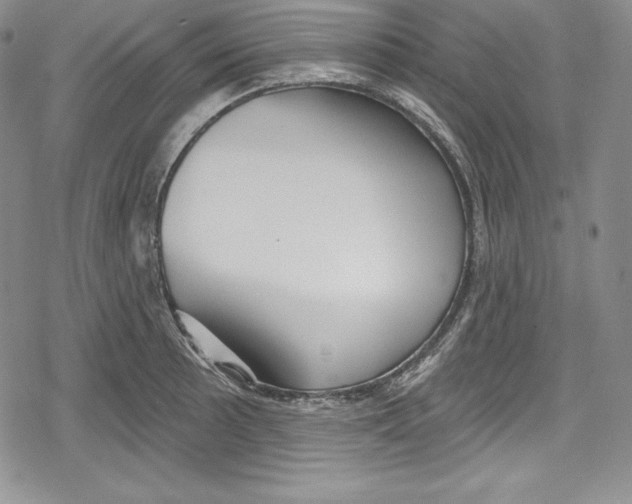 X0000078831089200612111513