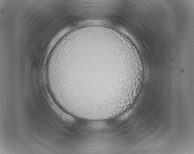 X0000078831090200612111513