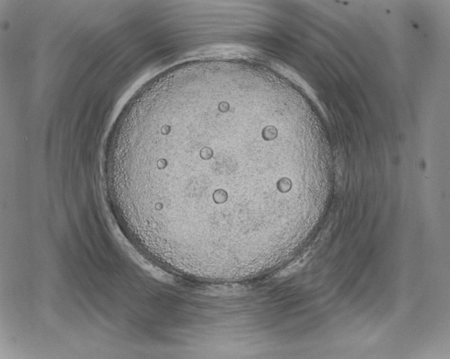 X0000078831091200612111513