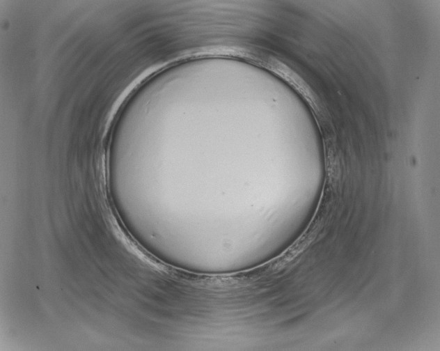 X0000078831092200612111513