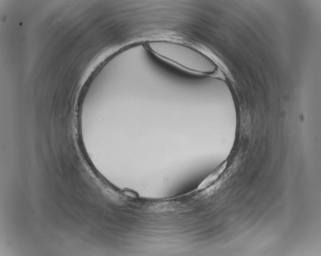 X0000078831093200612111513