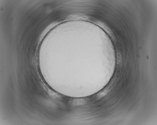 X0000078831094200612111513