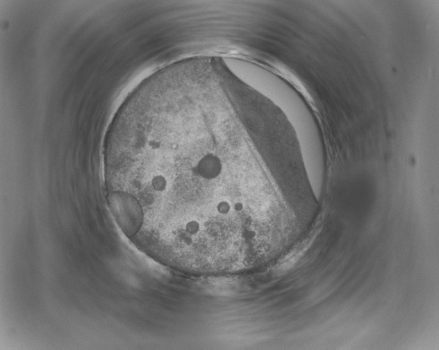 X0000078831095200612111513