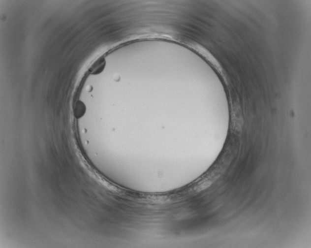 X0000078831096200612111513