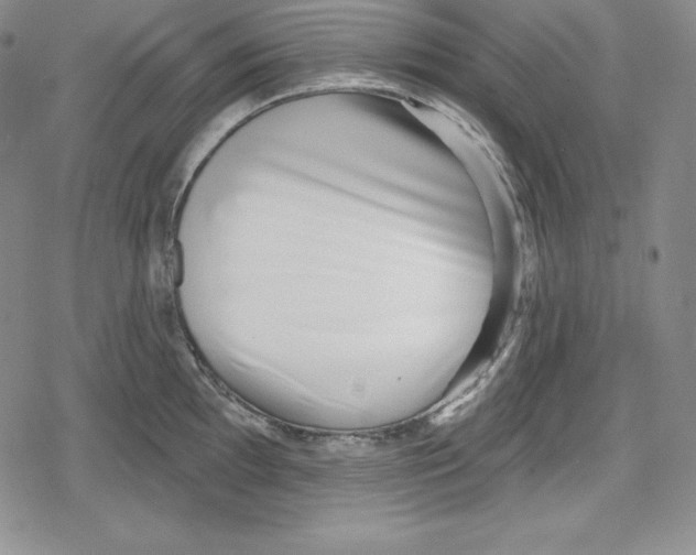 X0000078831097200612111513