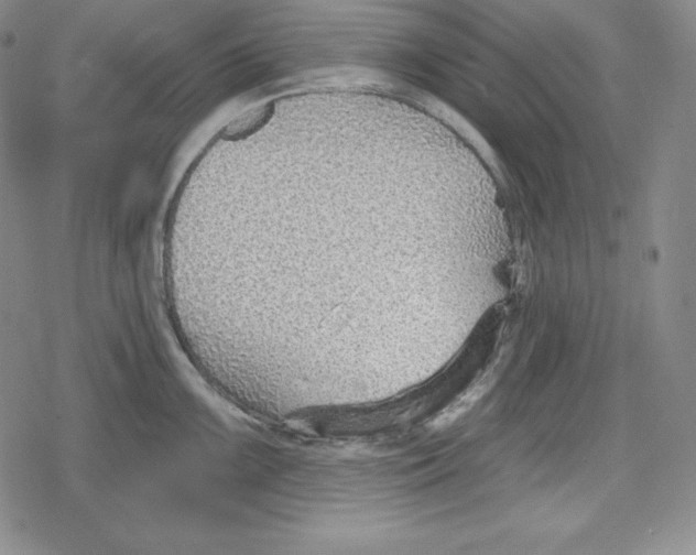 X0000078831099200612111513