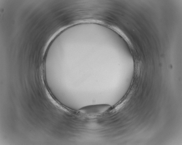 X0000078831100200612111513