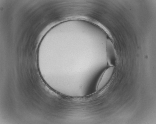 X0000078831102200612111513