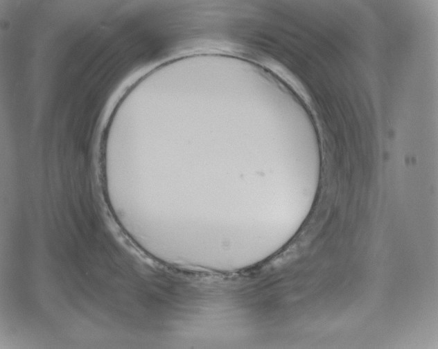 X0000078831104200612111513