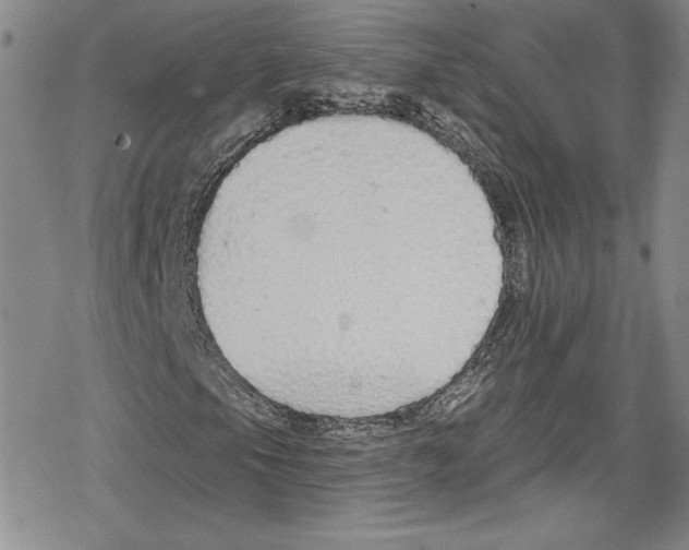 X0000078831105200612111512