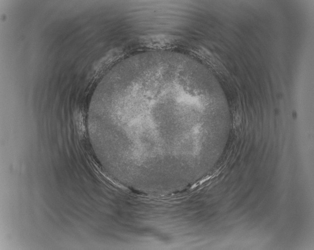 X0000078831106200612111512