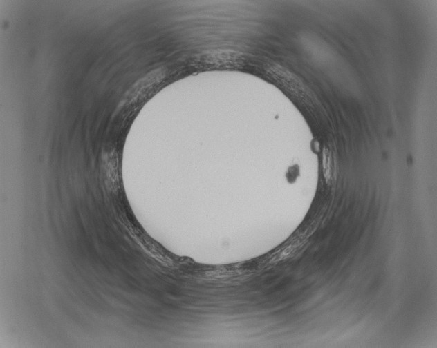 X0000078831107200612111512