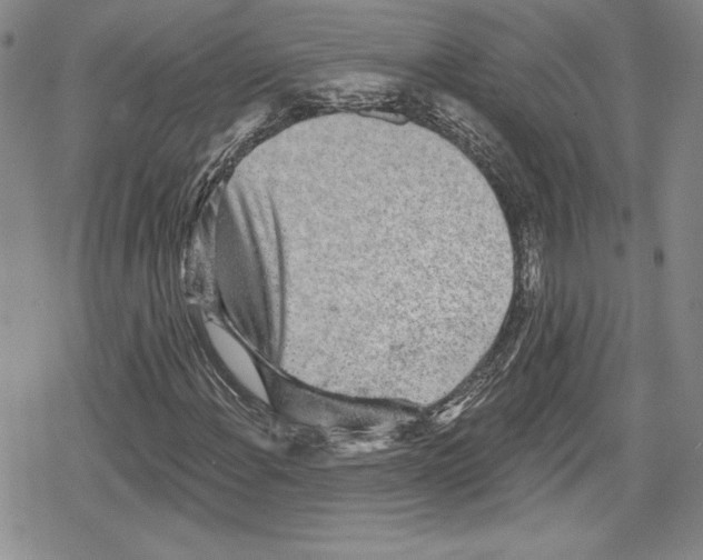 X0000078831108200612111512