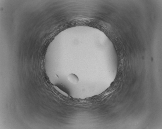 X0000078831109200612111512