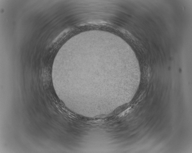 X0000078831110200612111512