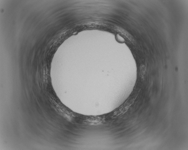 X0000078831111200612111512