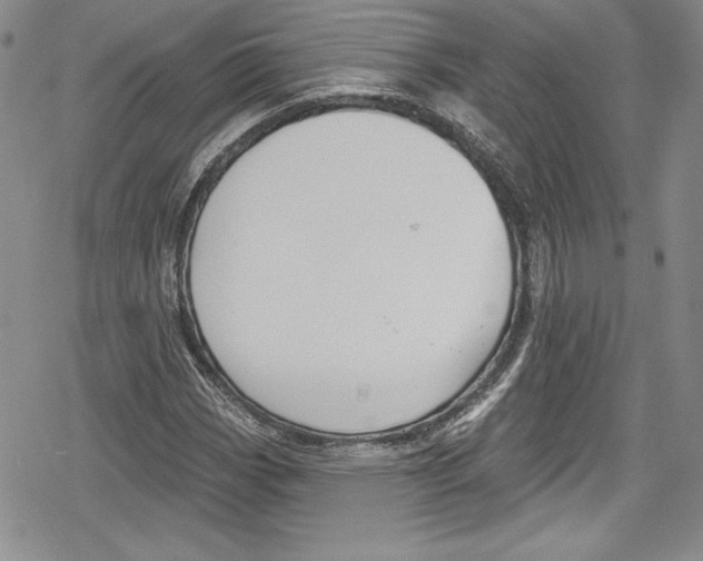 X0000078831113200612111512