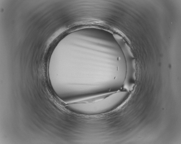 X0000078831114200612111512