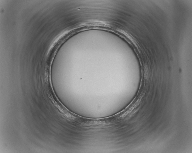 X0000078831115200612111512