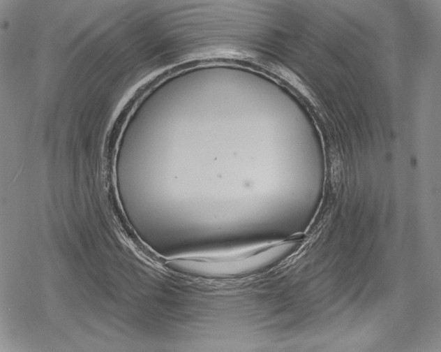 X0000078831116200612111512