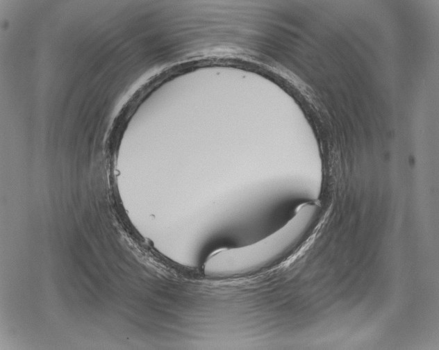 X0000078831118200612111512