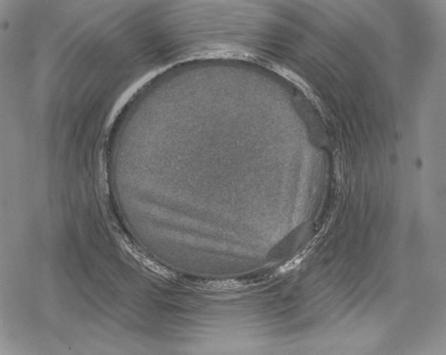 X0000078831120200612111512