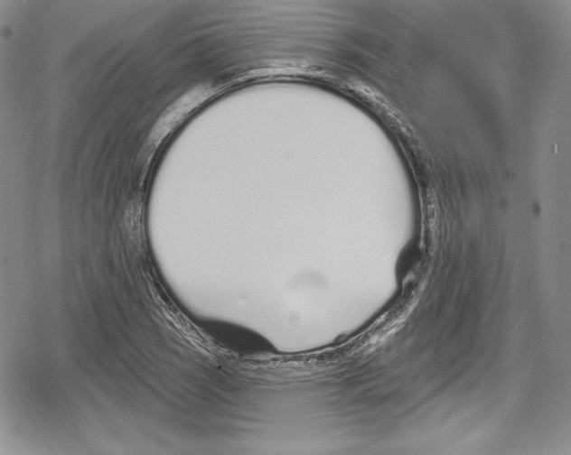 X0000078831121200612111512