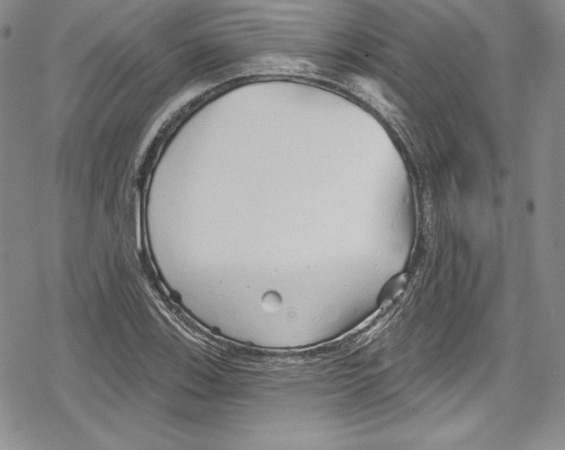 X0000078831123200612111512