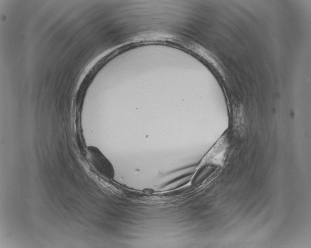 X0000078831124200612111512