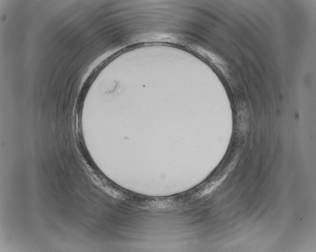 X0000078831125200612111513