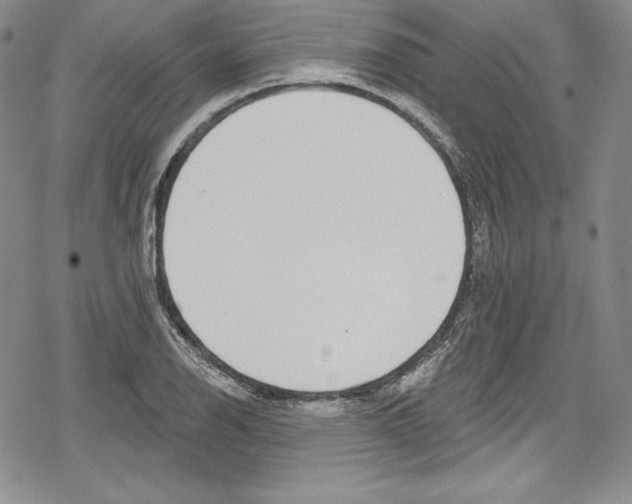 X0000078831126200612111513