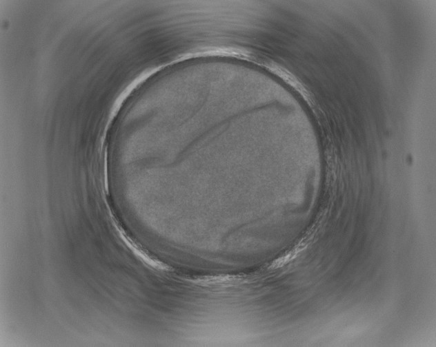 X0000078831127200612111513