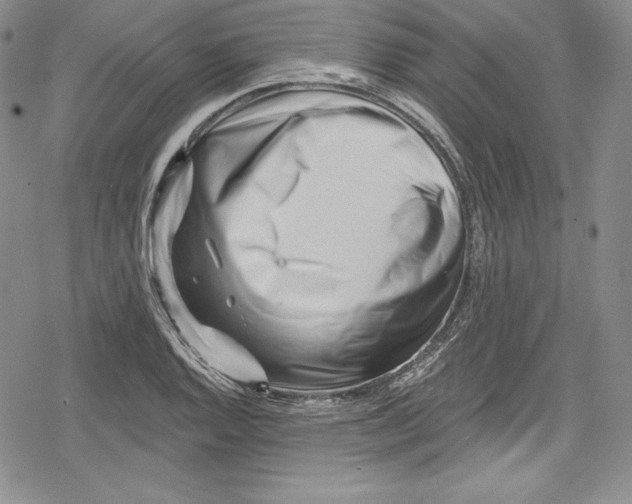 X0000078831128200612111513