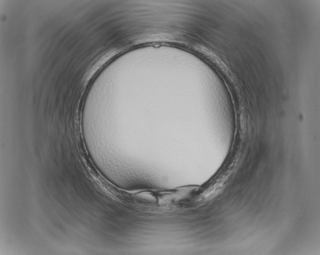 X0000078831129200612111513