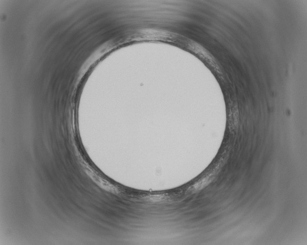 X0000078831130200612111513