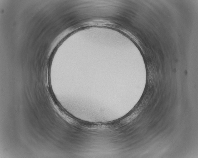 X0000078831131200612111513