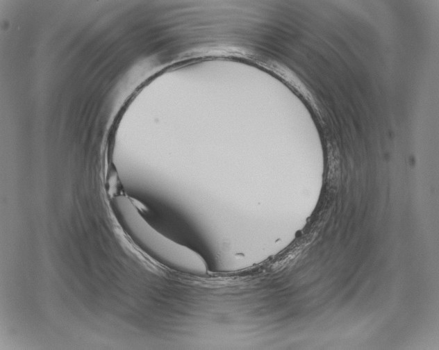 X0000078831132200612111513