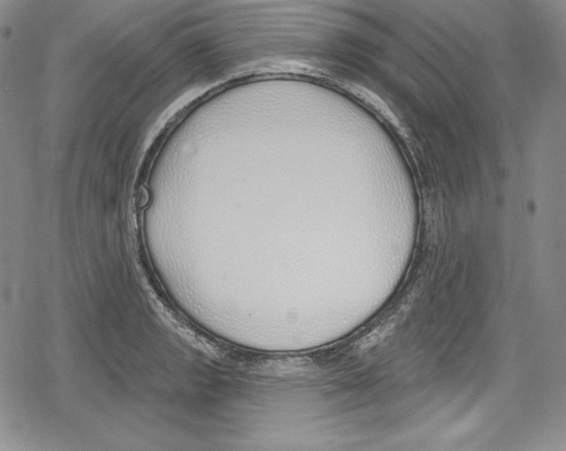 X0000078831133200612111513