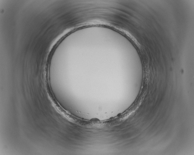 X0000078831134200612111513