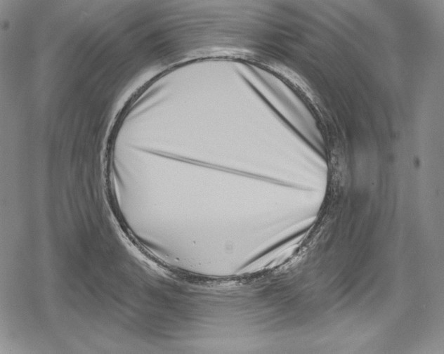 X0000078831135200612111513