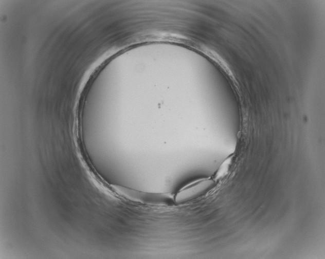 X0000078831136200612111513