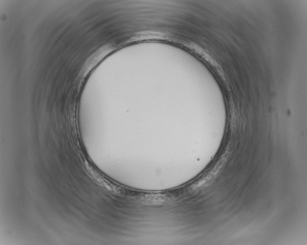 X0000078831137200612111513