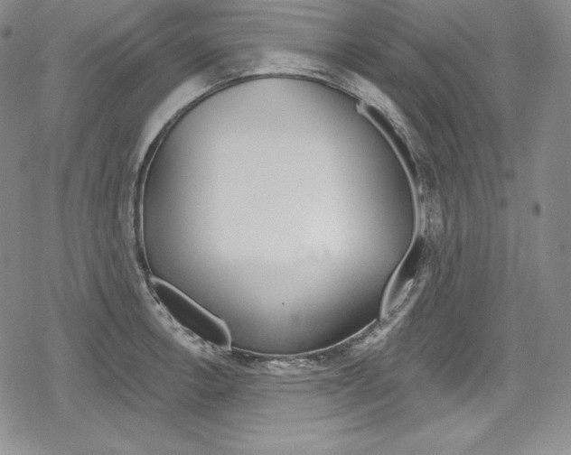 X0000078831138200612111513