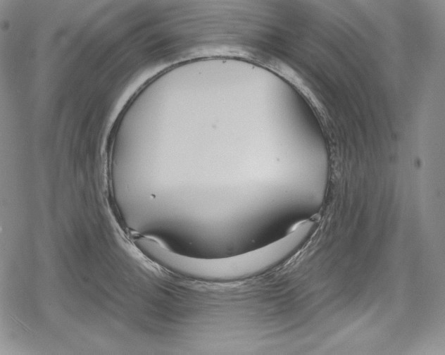 X0000078831140200612111513